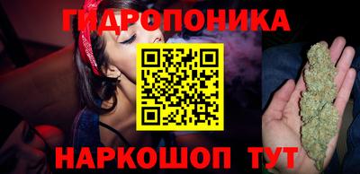 mdma Можга