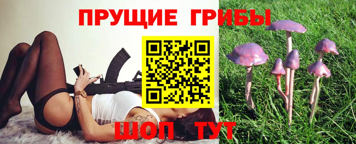 Псилоцибиновые грибы MAGIC MUSHROOMS  Вход с VPN  Люберцы 